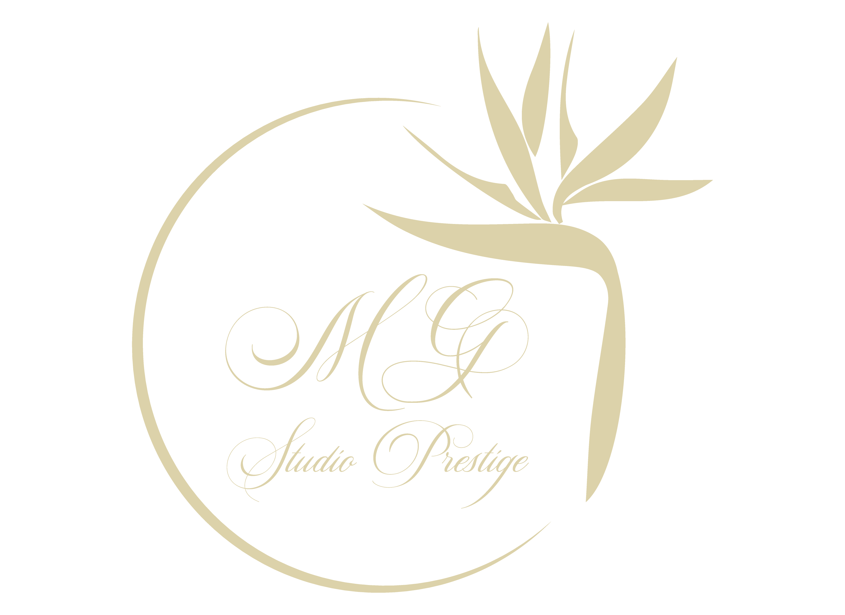 MG STUDIO PRESTIGE Logo