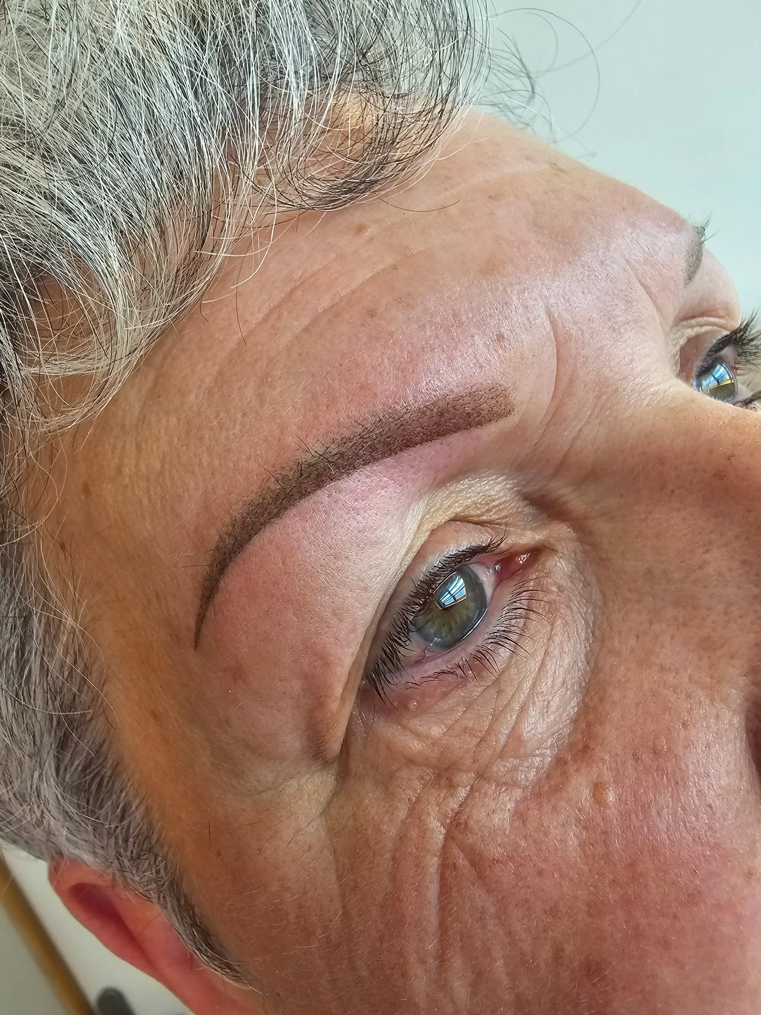Sourcils Poudres